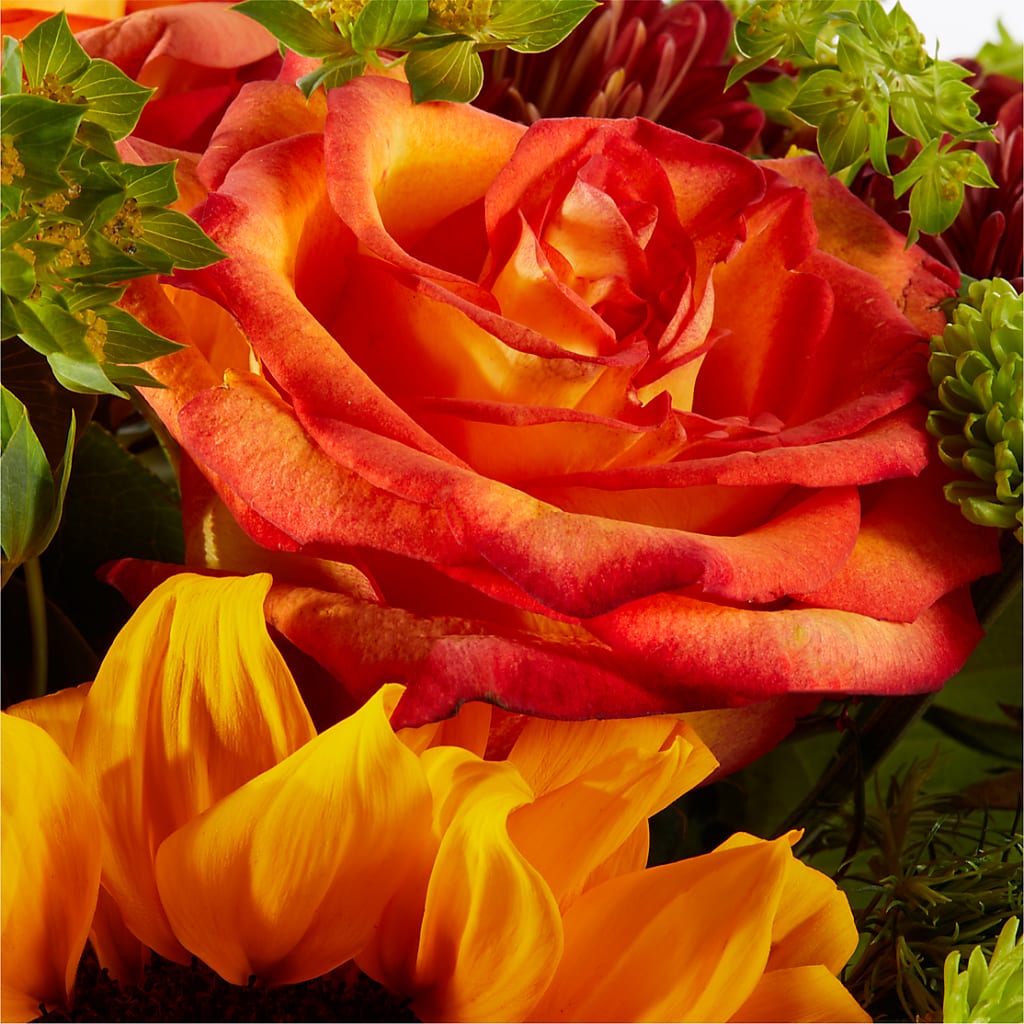 Harvest Festival Bouquet –  Fleuristerie Marie-chantal, Shawinigan PQ
