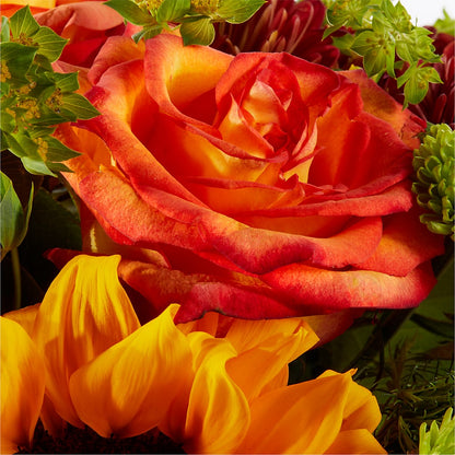 Harvest Festival Bouquet –  Fleuristerie Marie-chantal, Shawinigan PQ