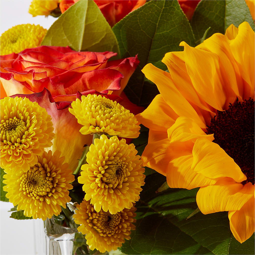 Picnic in the Park Bouquet –  Fleuristerie Marie-chantal, Shawinigan PQ