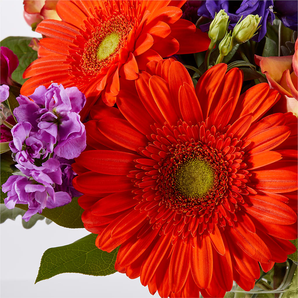Sangria Bouquet –  Fleuristerie Marie-chantal, Shawinigan PQ