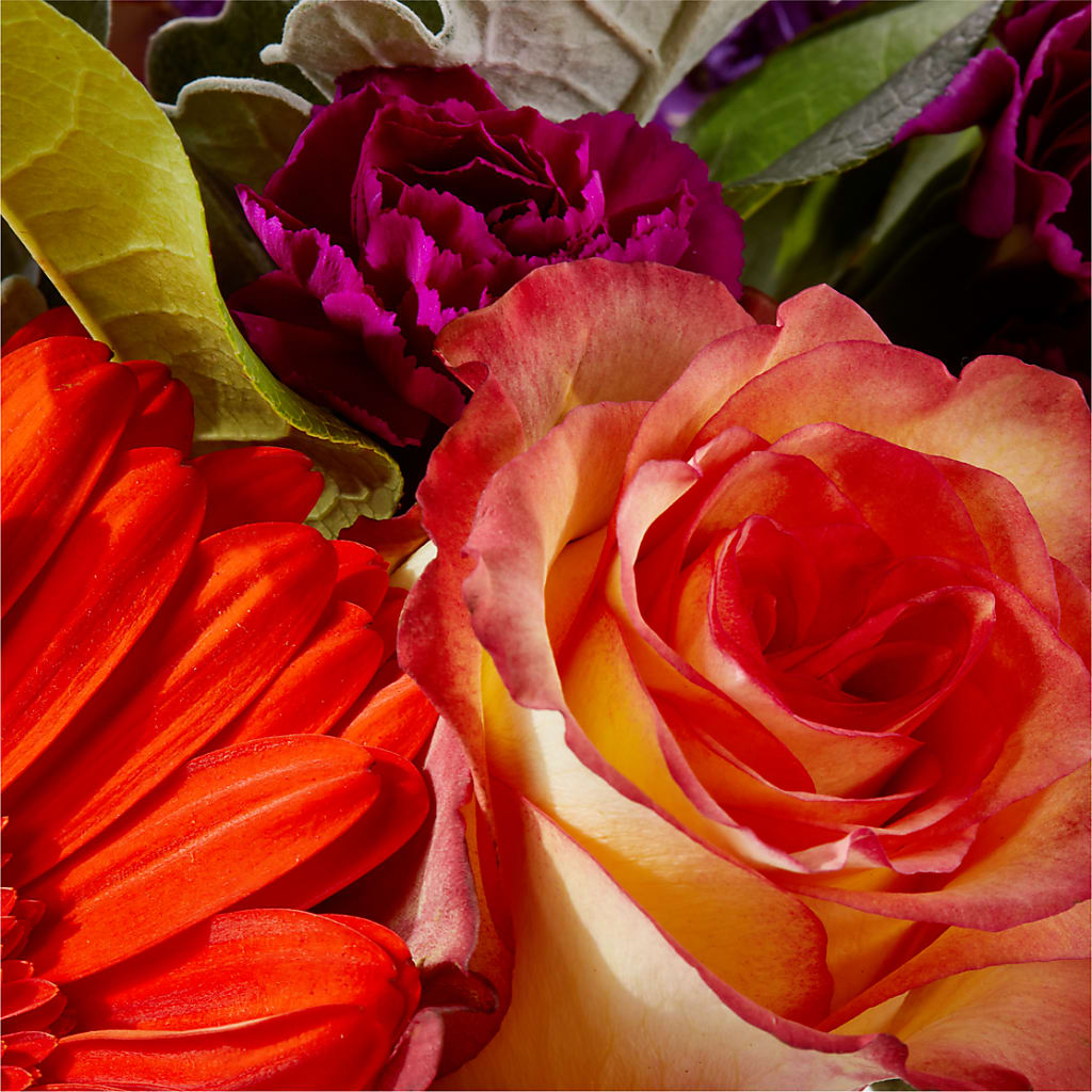 Sangria Bouquet –  Fleuristerie Marie-chantal, Shawinigan PQ