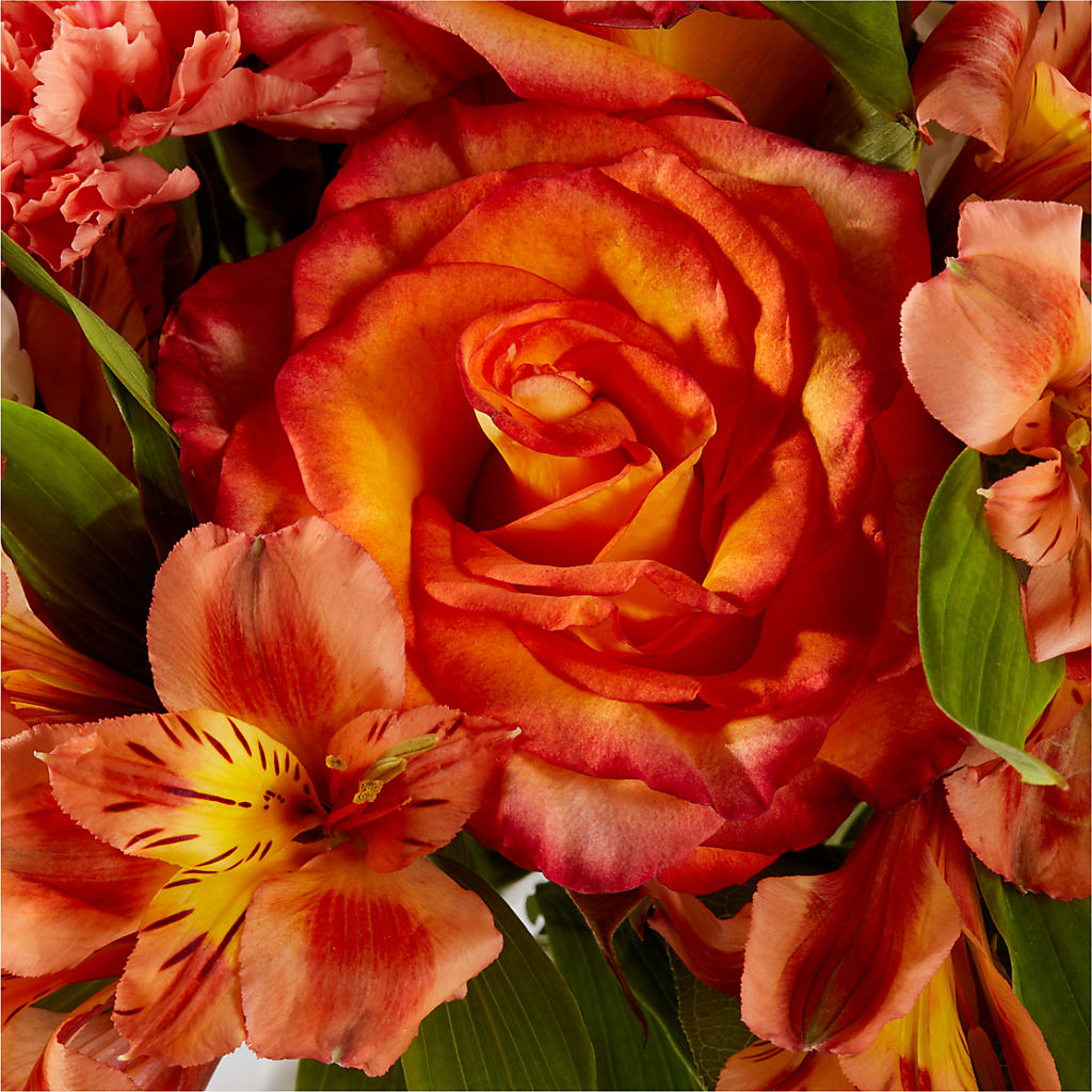 Apricot Glow Bouquet –  Fleuristerie Marie-chantal, Shawinigan PQ