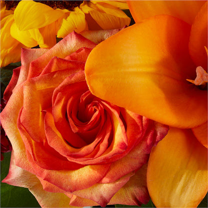 Grateful Centerpiece –  Fleuristerie Marie-chantal, Shawinigan PQ