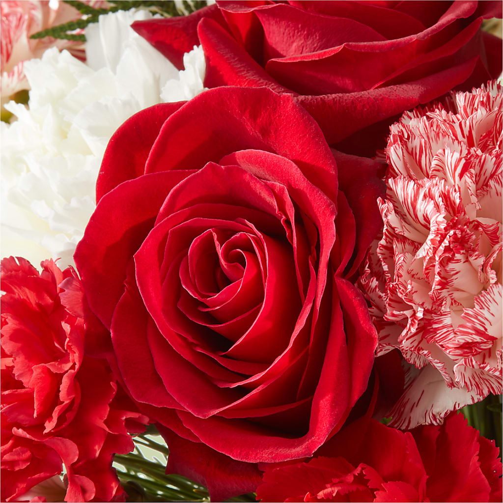 Candy Cane Lane Bouquet –  Fleuristerie Marie-chantal, Shawinigan PQ