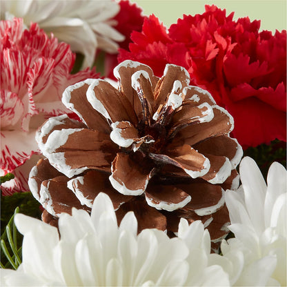 Candy Cane Lane Bouquet –  Fleuristerie Marie-chantal, Shawinigan PQ