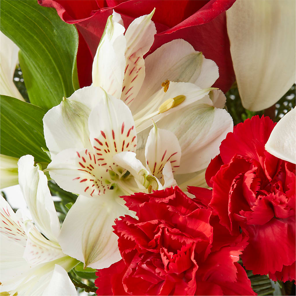 Holiday Season Bouquet –  Fleuristerie Marie-chantal, Shawinigan PQ
