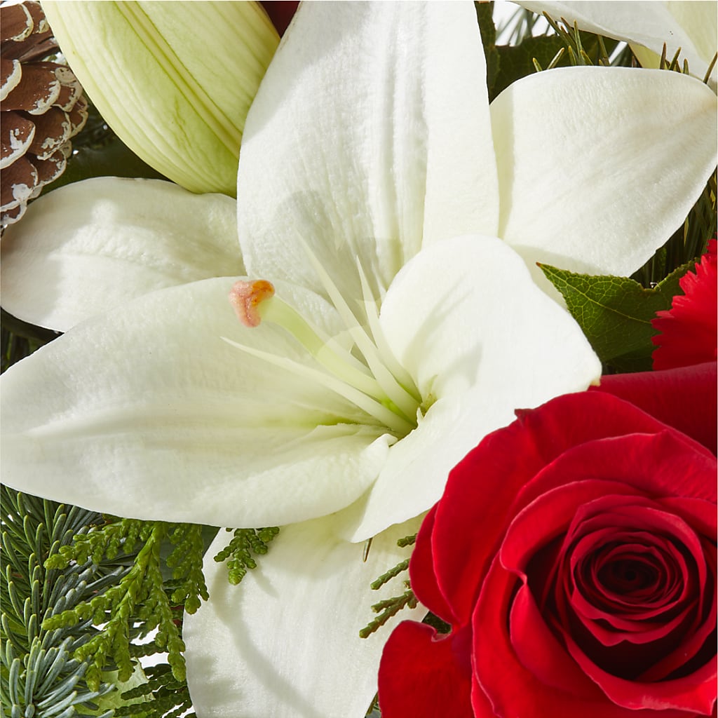 Oh So Jolly Bouquet –  Fleuristerie Marie-chantal, Shawinigan PQ