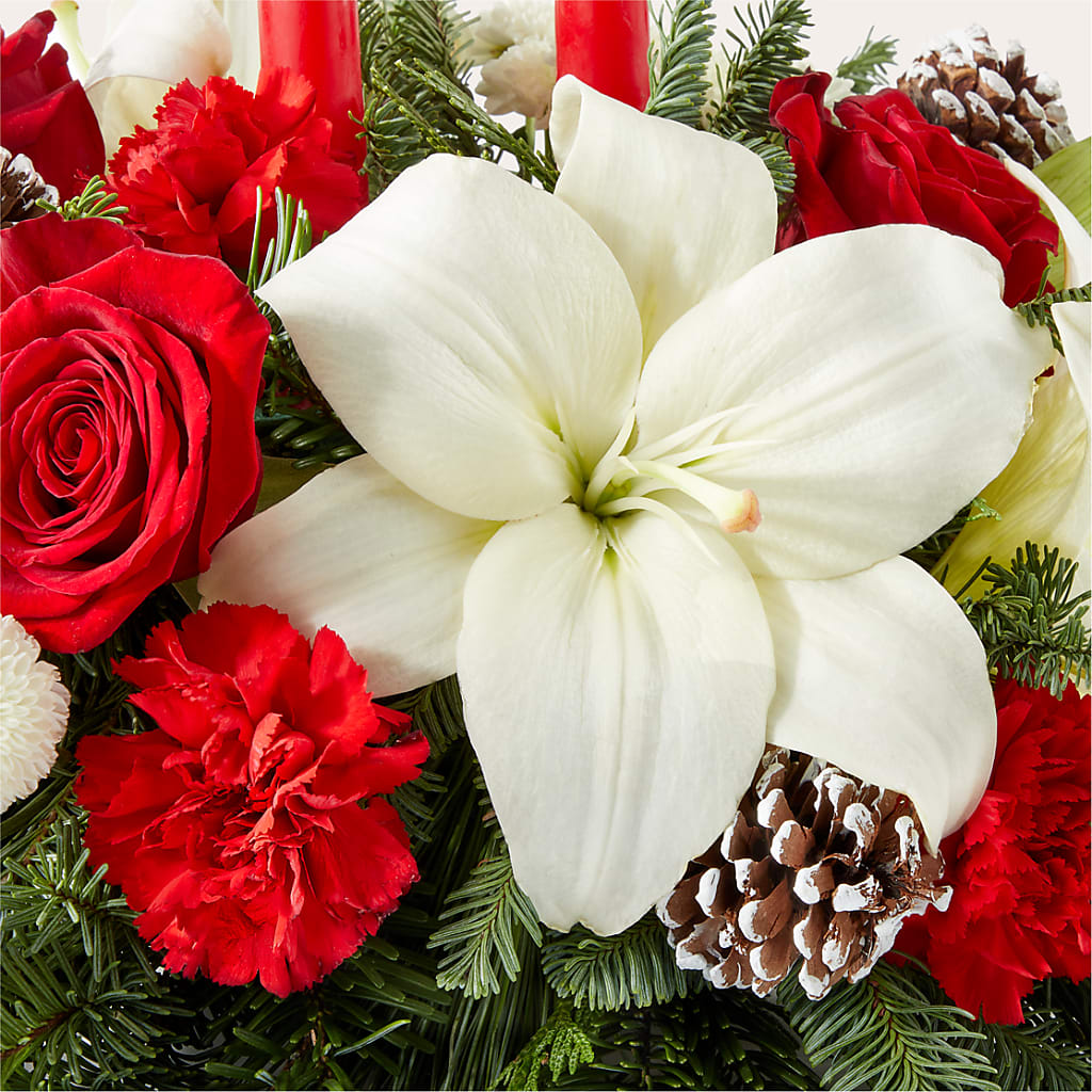 Seasonal Festivities Centerpiece –  Fleuristerie Marie-chantal, Shawinigan PQ