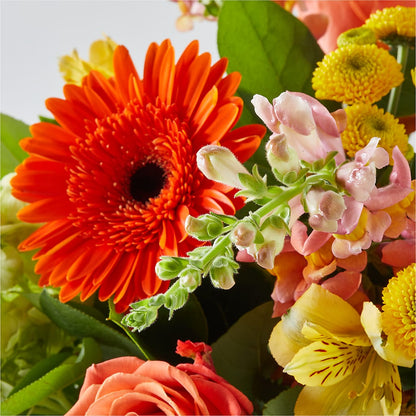 Autumn Sunshine Bouquet –  Fleuristerie Marie-chantal, Shawinigan PQ