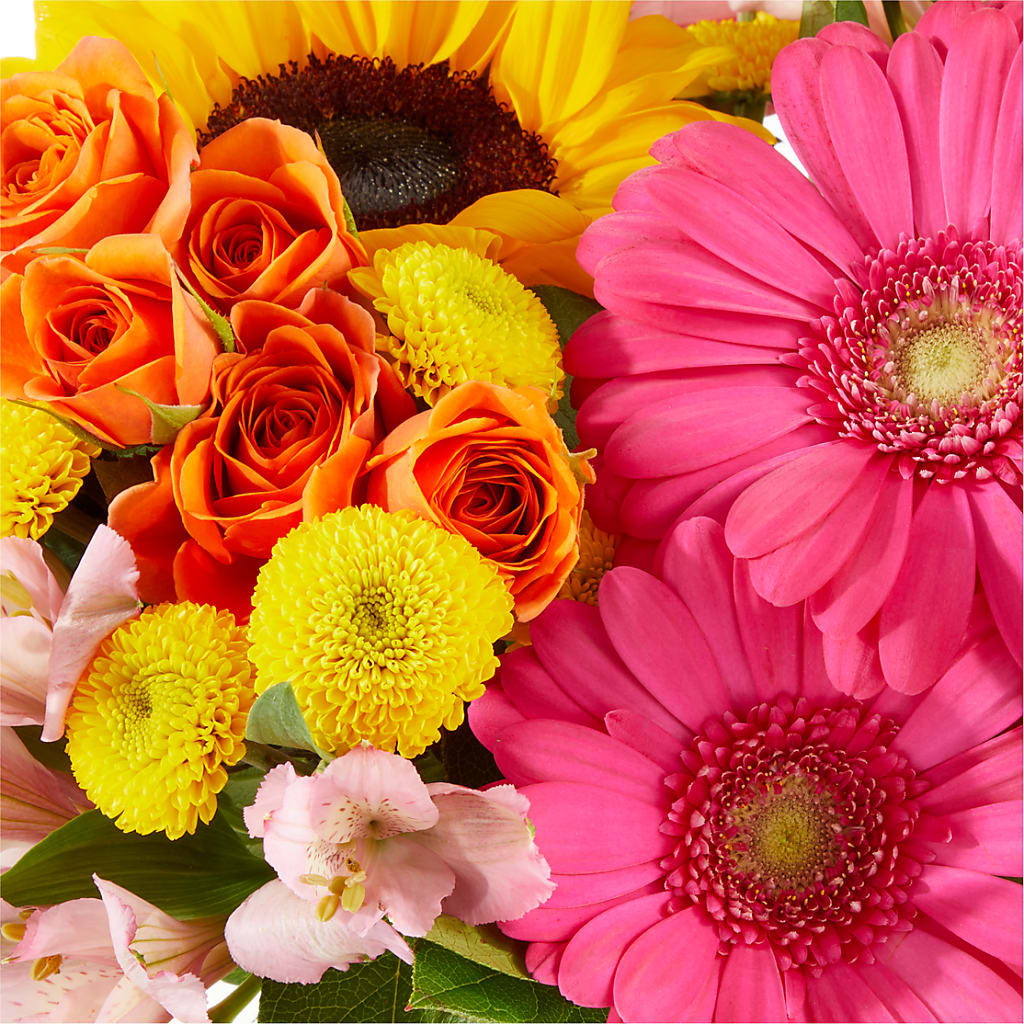 Beach Day Bouquet –  Fleuristerie Marie-chantal, Shawinigan PQ