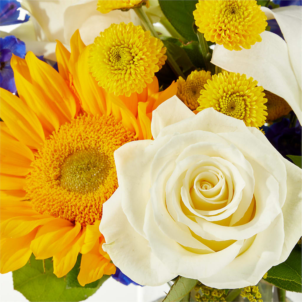 Stargazing Bouquet –  Fleuristerie Marie-chantal, Shawinigan PQ