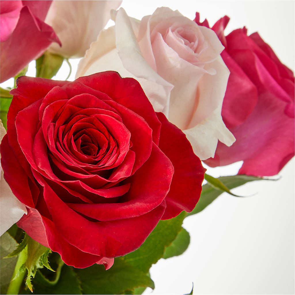 Charming Rose Bouquet –  Fleuristerie Marie-chantal, Shawinigan PQ