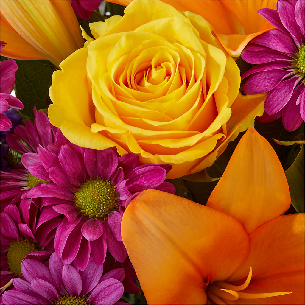 Colorful Visions Bouquet –  Fleuristerie Marie-chantal, Shawinigan PQ