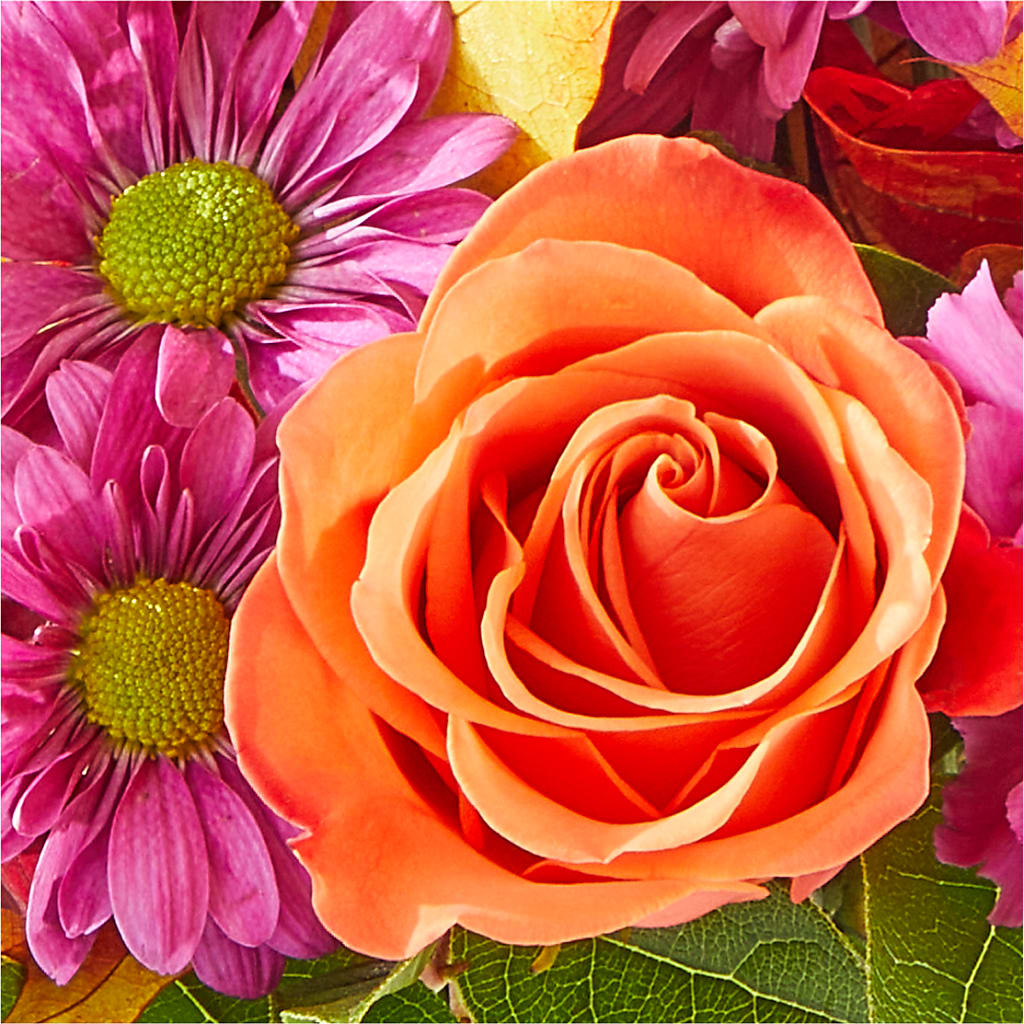 Mum's the Word Bouquet –  Fleuristerie Marie-chantal, Shawinigan PQ