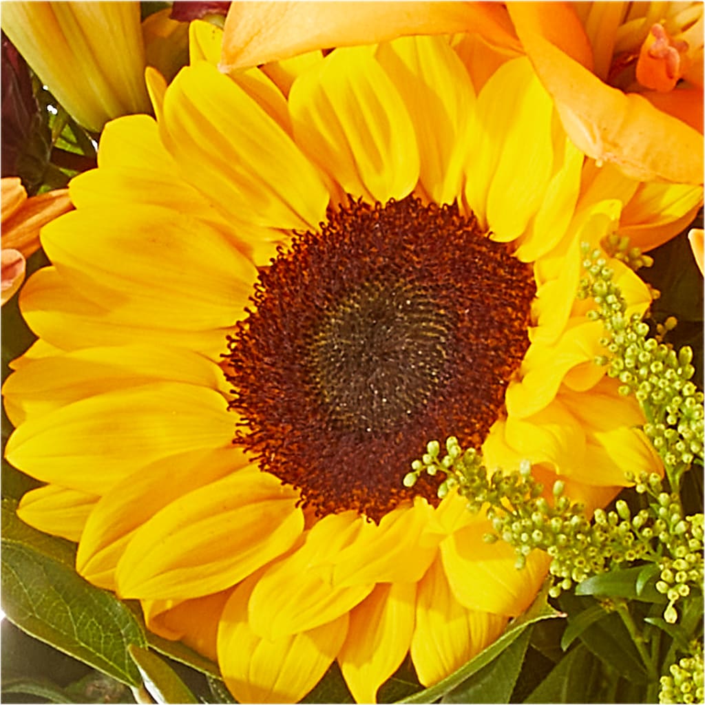 Seasons Change Bouquet –  Fleuristerie Marie-chantal, Shawinigan PQ