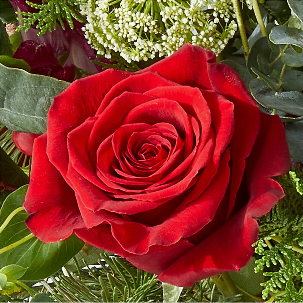 Cranberry Fizz Bouquet –  Fleuristerie Marie-chantal, Shawinigan PQ