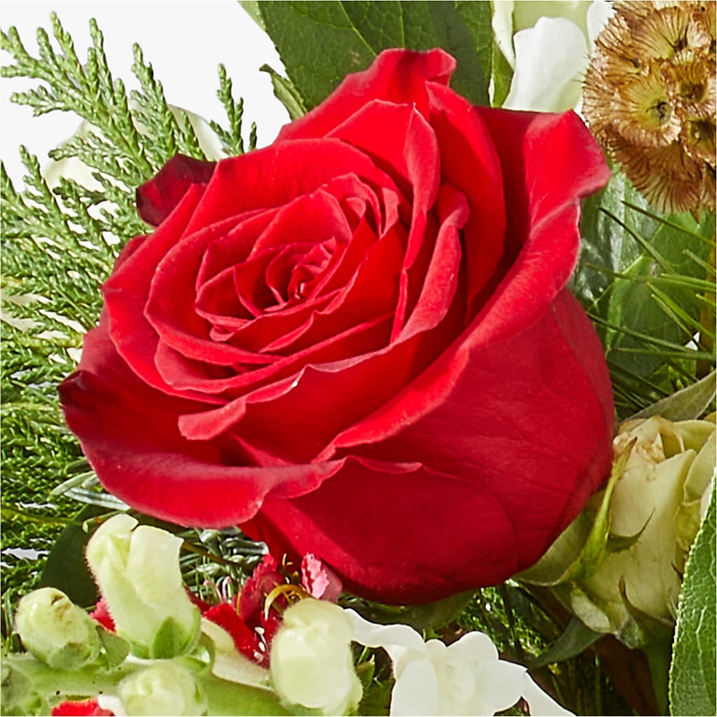 Deck the Halls Bouquet –  Fleuristerie Marie-chantal, Shawinigan PQ