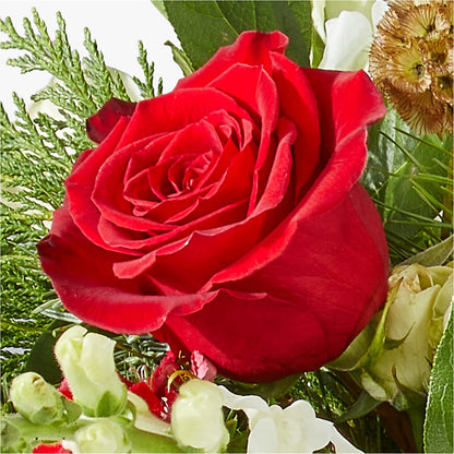 Deck the Halls Bouquet –  Fleuristerie Marie-chantal, Shawinigan PQ
