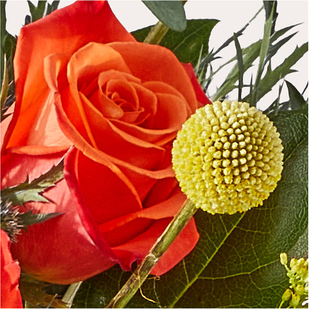 Disco Bouquet –  Fleuristerie Marie-chantal, Shawinigan PQ