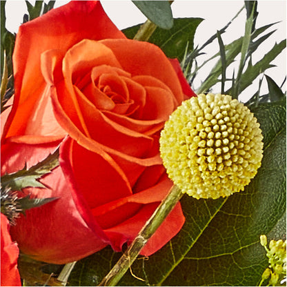 Disco Bouquet –  Fleuristerie Marie-chantal, Shawinigan PQ