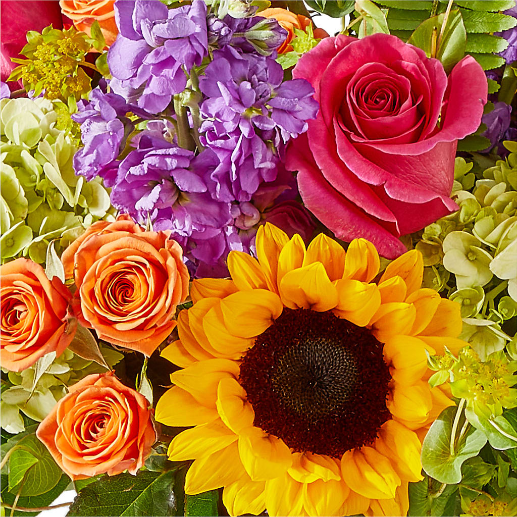 Vibrant Greetings Bouquet –  Fleuristerie Marie-chantal, Shawinigan PQ
