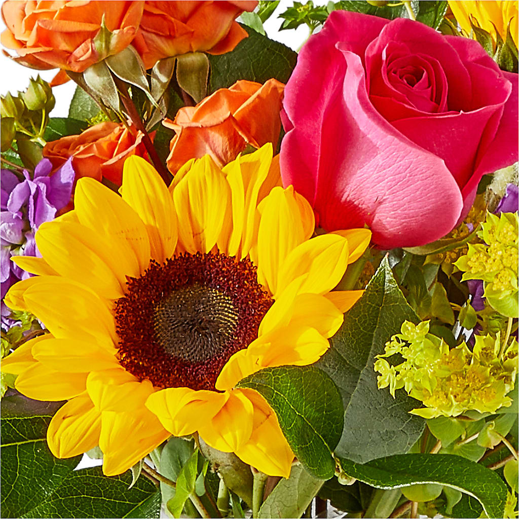 Vibrant Greetings Bouquet –  Fleuristerie Marie-chantal, Shawinigan PQ