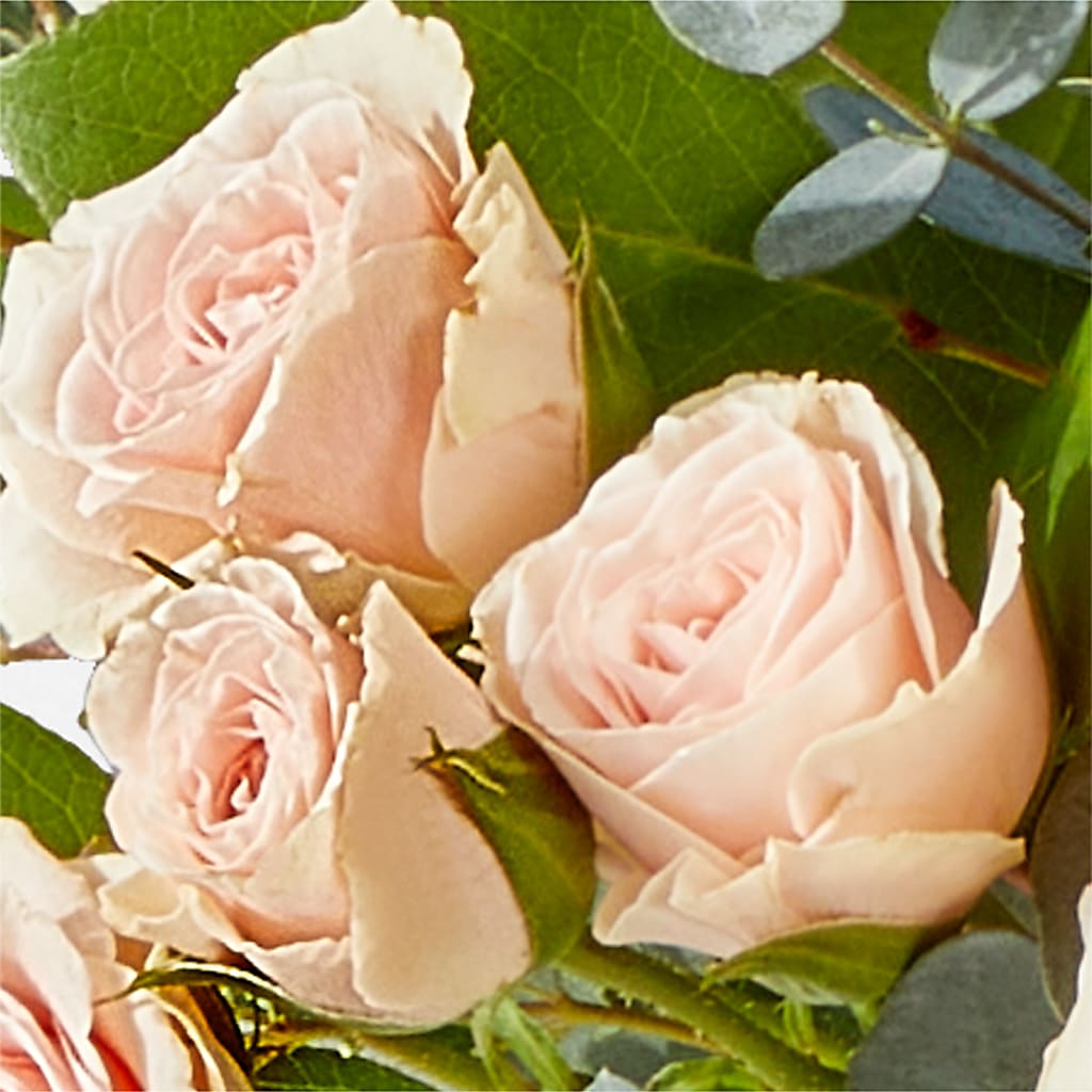 Inspired Bouquet –  Fleuristerie Marie-chantal, Shawinigan PQ