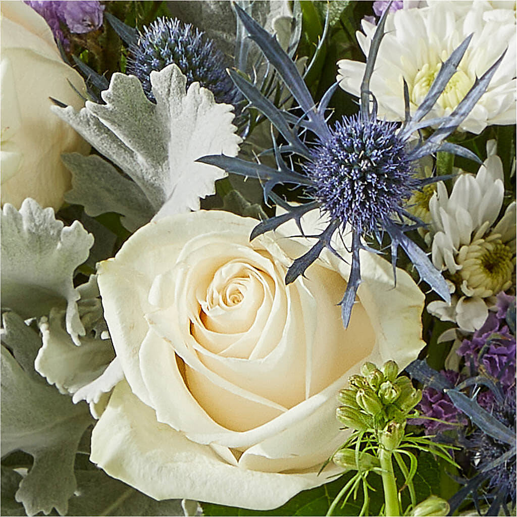 Shooting Star Bouquet –  Fleuristerie Marie-chantal, Shawinigan PQ