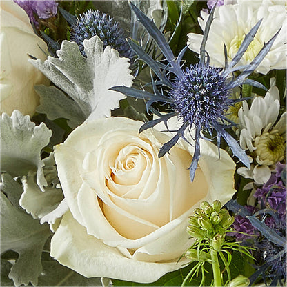 Shooting Star Bouquet –  Fleuristerie Marie-chantal, Shawinigan PQ