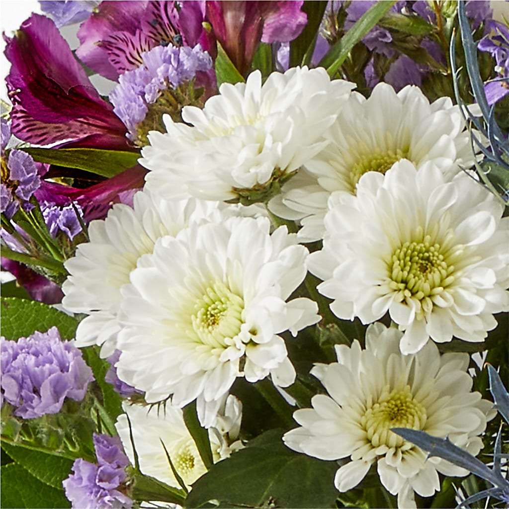 Shooting Star Bouquet –  Fleuristerie Marie-chantal, Shawinigan PQ