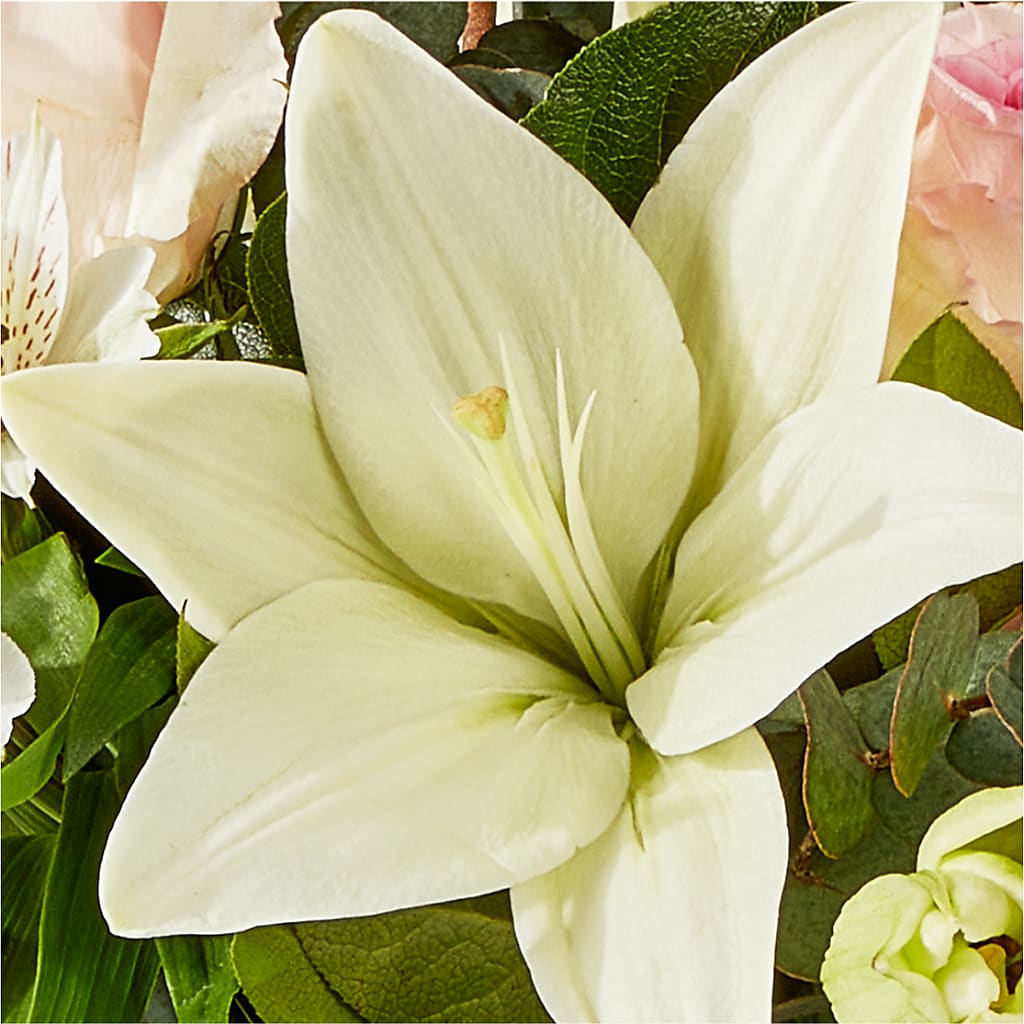 Ballet Slippers Bouquet –  Fleuristerie Marie-chantal, Shawinigan PQ