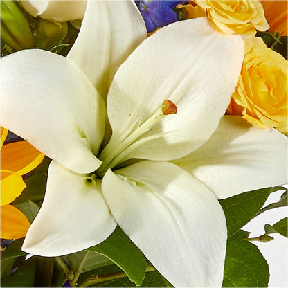 Wonderfully Sunny Bouquet –  Fleuristerie Marie-chantal, Shawinigan PQ