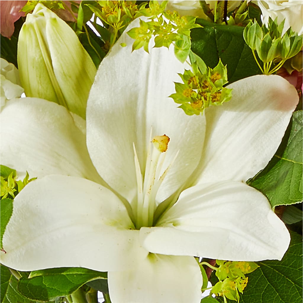 Fondly Bouquet –  Fleuristerie Marie-chantal, Shawinigan PQ