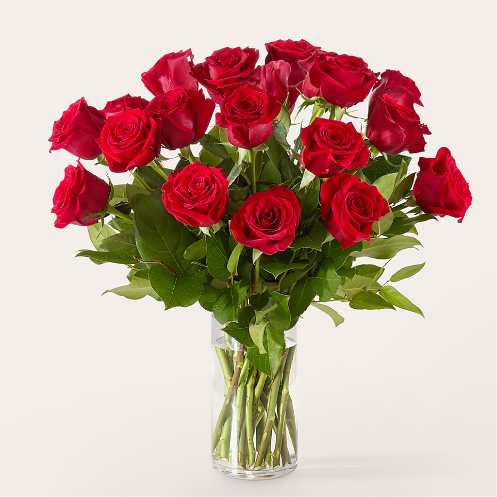The One Red Rose Bouquet –  Fleuristerie Marie-chantal, Shawinigan PQ