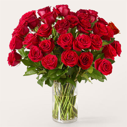 The One Red Rose Bouquet –  Fleuristerie Marie-chantal, Shawinigan PQ