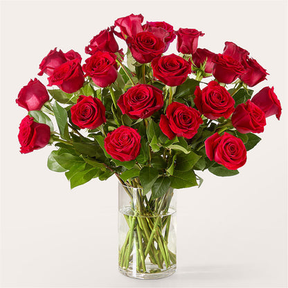 The One Red Rose Bouquet –  Fleuristerie Marie-chantal, Shawinigan PQ
