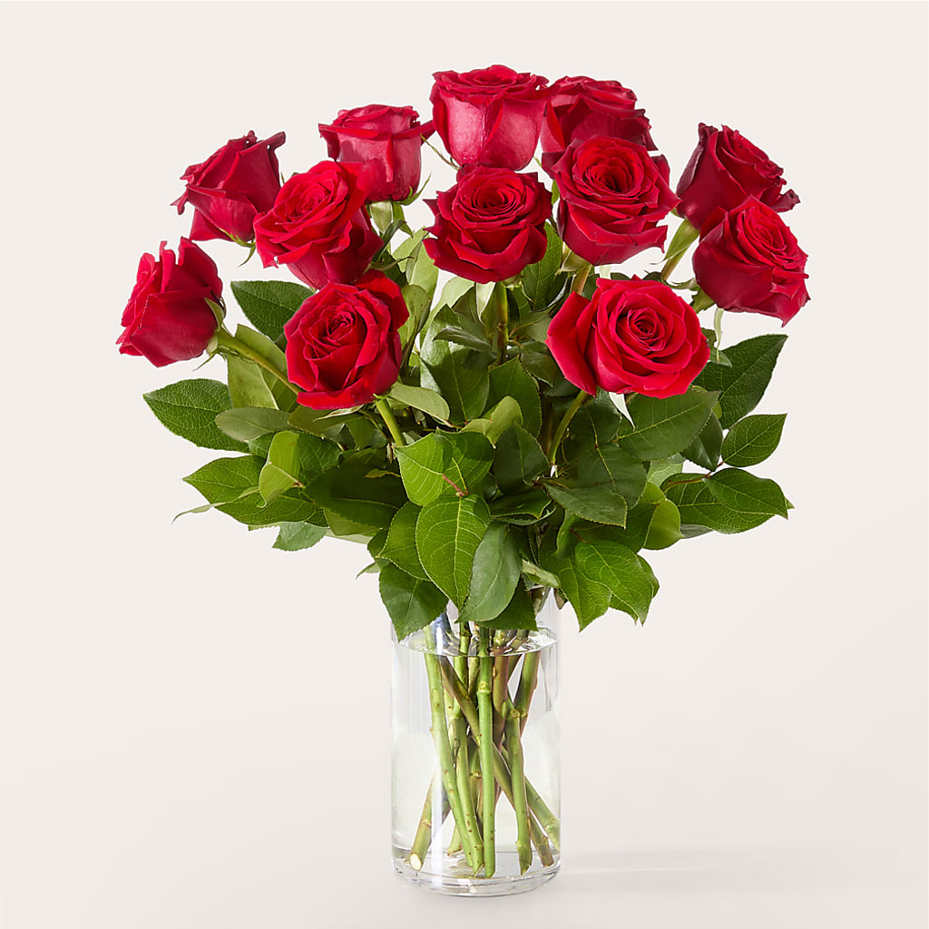 The One Red Rose Bouquet –  Fleuristerie Marie-chantal, Shawinigan PQ