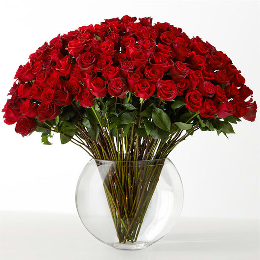 The Idealist –  Fleuristerie Marie-chantal, Shawinigan PQ