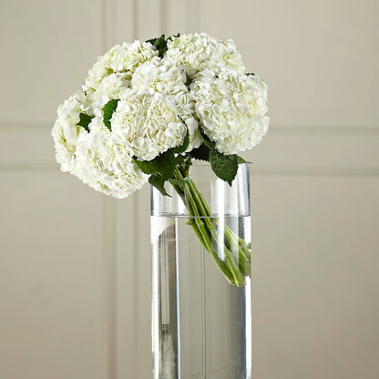 White Hydrangea Hand-Tied Bouquet –  Fleuristerie Marie-chantal, Shawinigan PQ