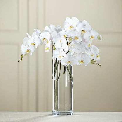White Phalaenopsis Bouquet –  Fleuristerie Marie-chantal, Shawinigan PQ