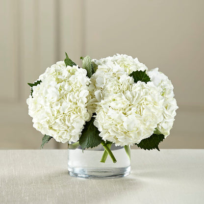 White Hydrangea Bouquet –  Fleuristerie Marie-chantal, Shawinigan PQ